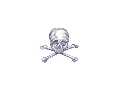 skull crossbones art